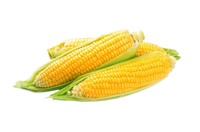 Corn 1pk (5pcs)