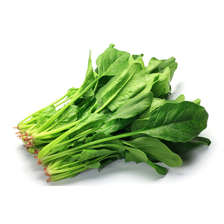 Fresh Head Spinach (~1lb)