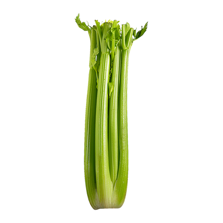 Celery 1pc