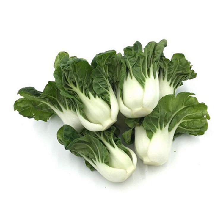 Creamed Cabbage Sprouts 1pk (~1.5lbs)