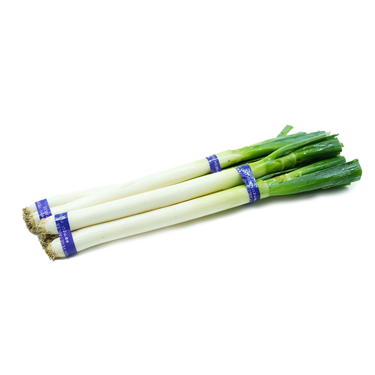 Chinese Leek 1pk