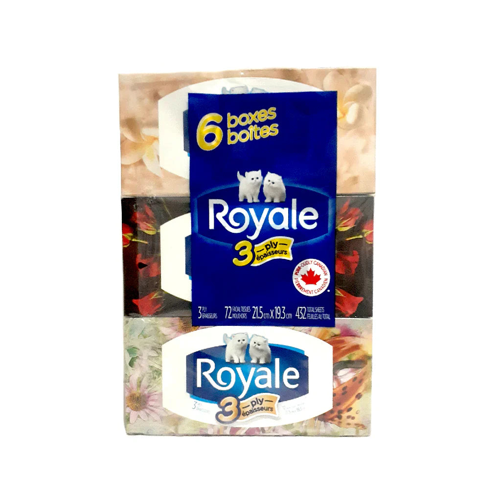 Royale Facial Tissue 6 Packs 3Ply (6x72s)