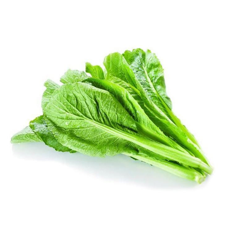 Mustard Greens 1pk