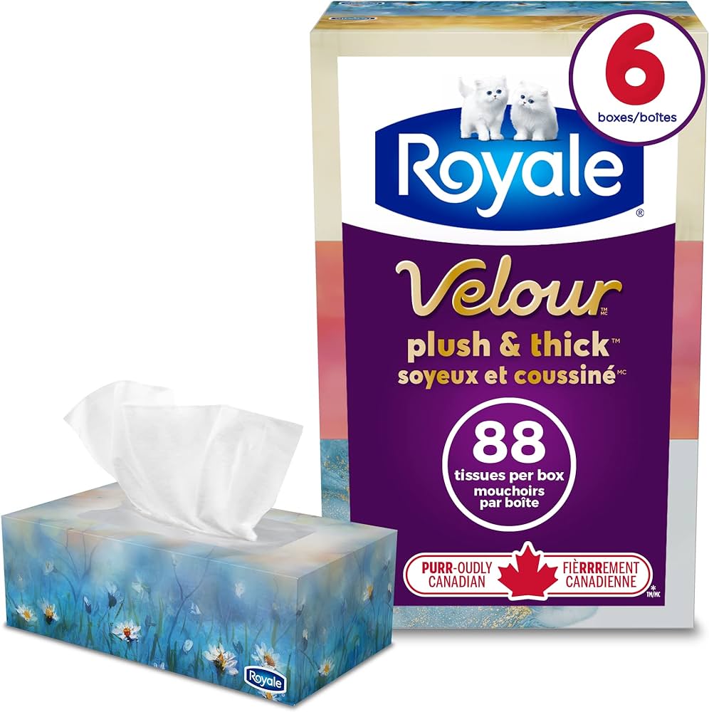 Royale Facial Tissue 6 Packs 3Ply (6x88s) | Brandco Direct Inc