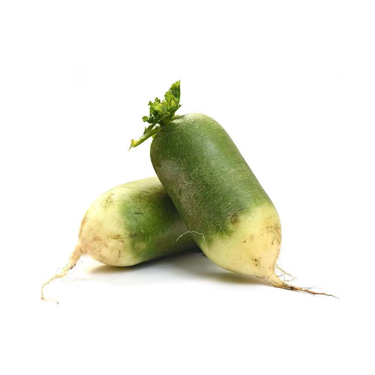 Green Radish 1pc (1.8~2.2lbs)