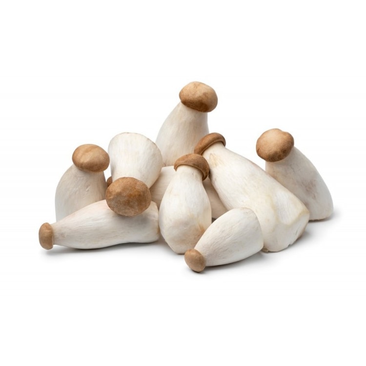 Organic King Oyster Mushroom 1pk