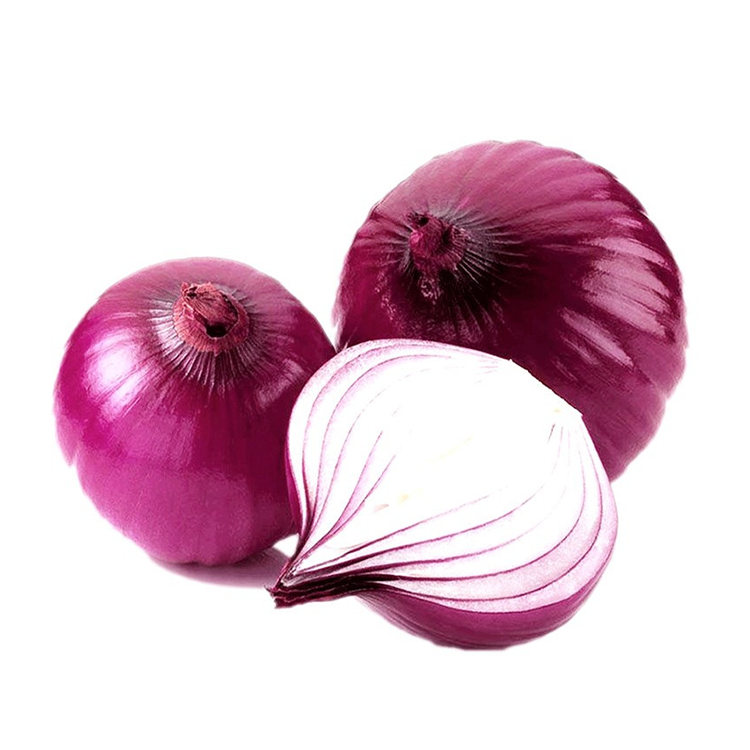 Purple Onion 1pc (0.8~1.2lbs)