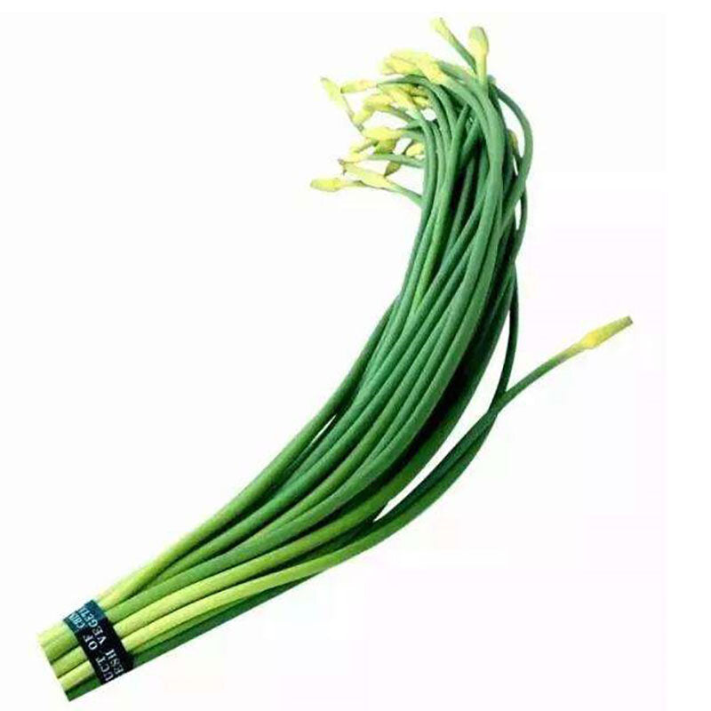 Garlic Scapes 1pc