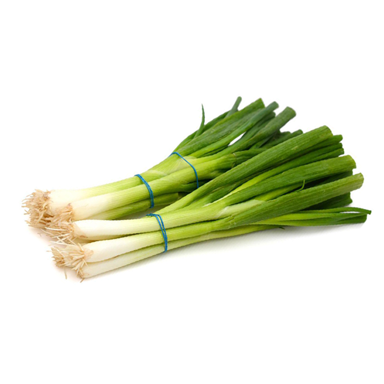 Green Onion 1pk