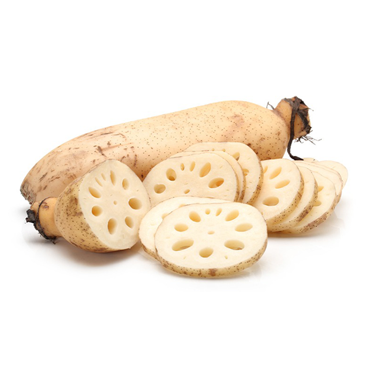 Lotus root 1pk (~2lbs)