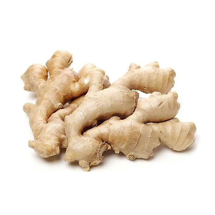 Organic Ginger 1pk (~1.5lbs)