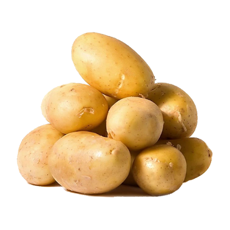 Yellow Potato 1pc (0.8~1.2lbs)