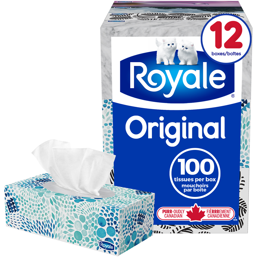 Royale Facial Tissue 12Packs 2Ply (12x100s)